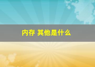 内存 其他是什么